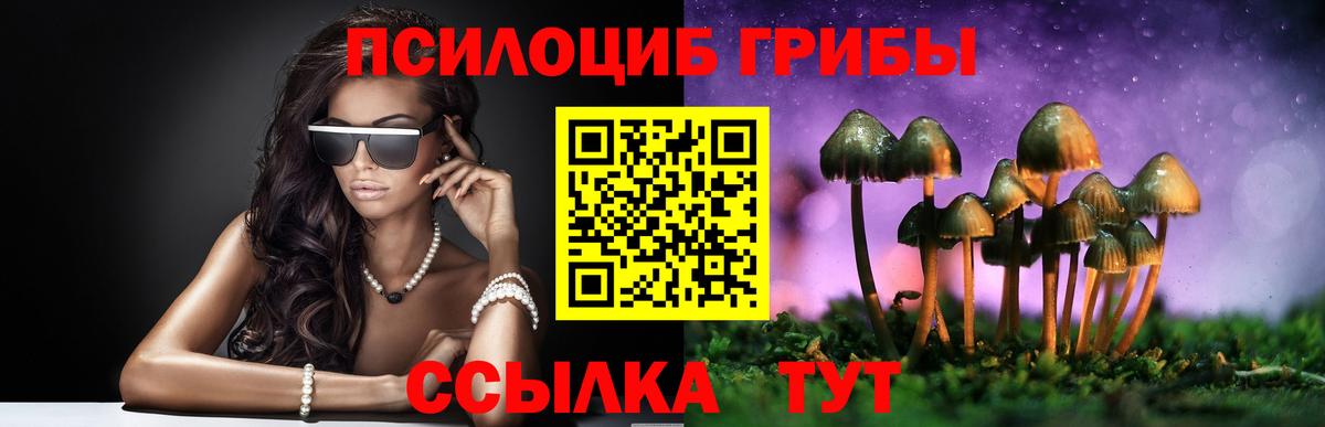 Псилоцибиновые грибы Psilocybine cubensis Россия